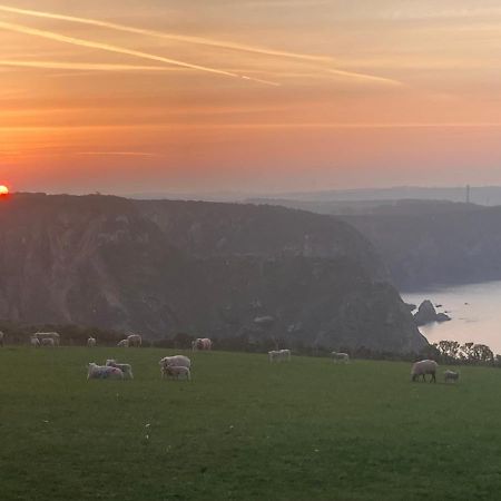 Coast Path Camping 호텔 하버포드웨스트 외부 사진