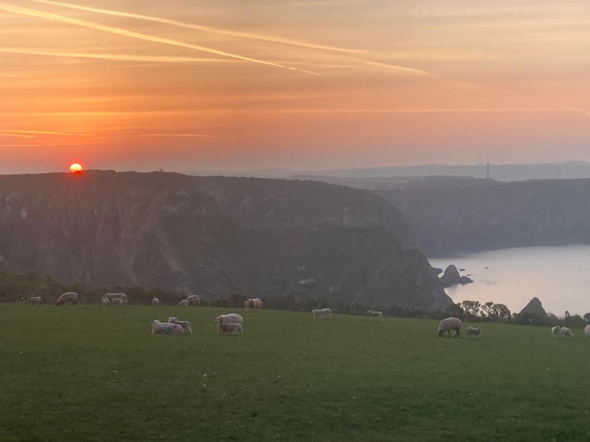 Coast Path Camping 호텔 하버포드웨스트 외부 사진